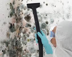 Best Emergency Mold Remediation  in Dover Beaches North, NJ